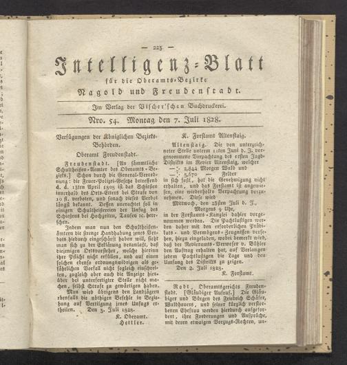 Zur Seitenansicht
