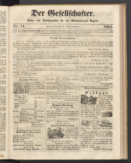 Zur Seitenansicht